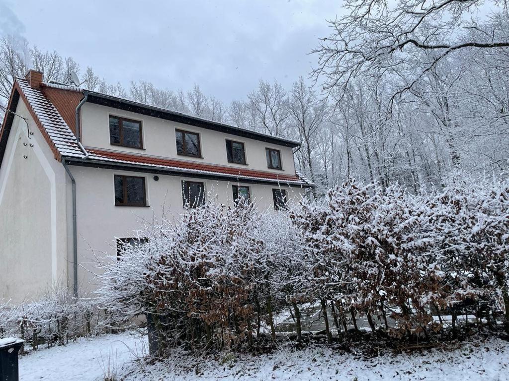 Apartment Am Hochwald Reinhardtsdorf-Schona Zewnętrze zdjęcie