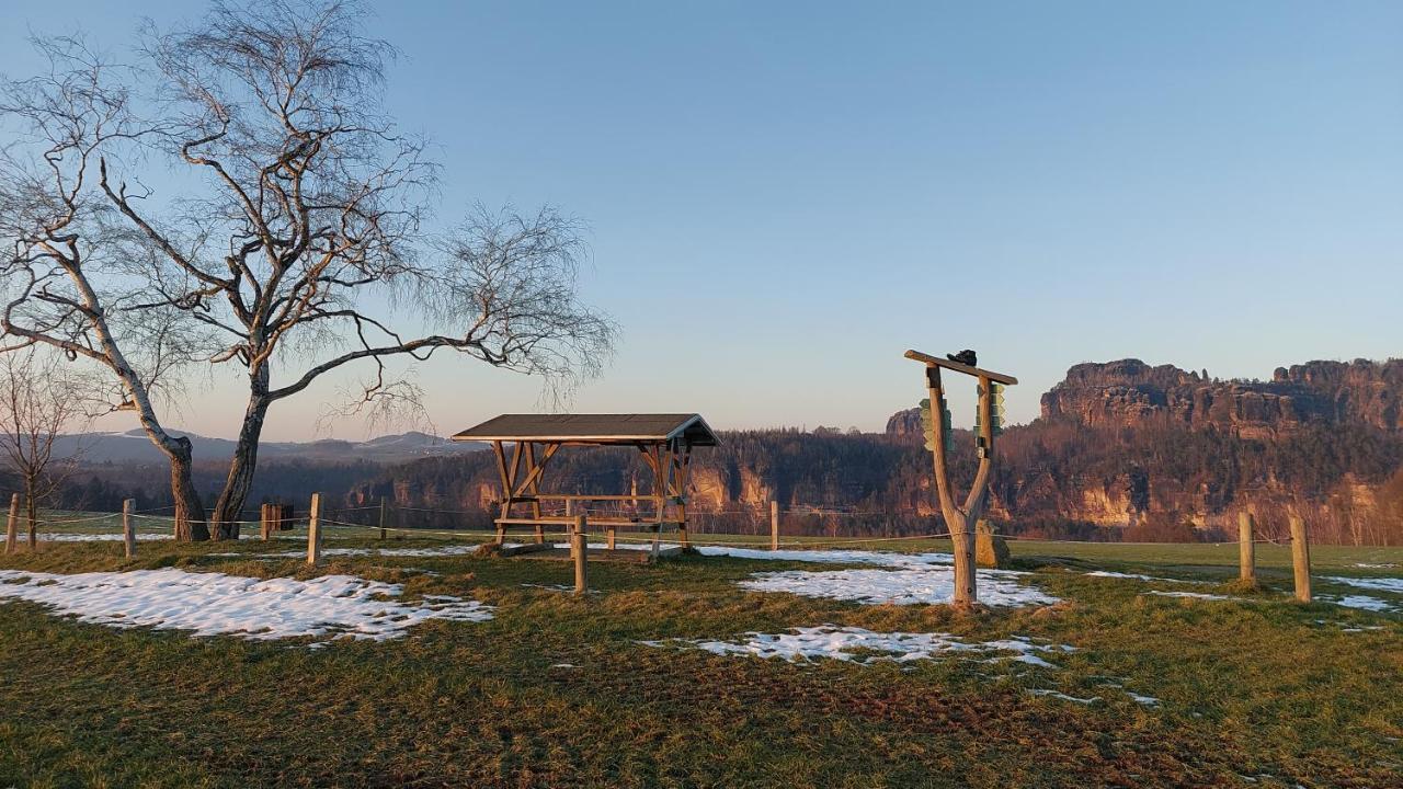 Apartment Am Hochwald Reinhardtsdorf-Schona Zewnętrze zdjęcie