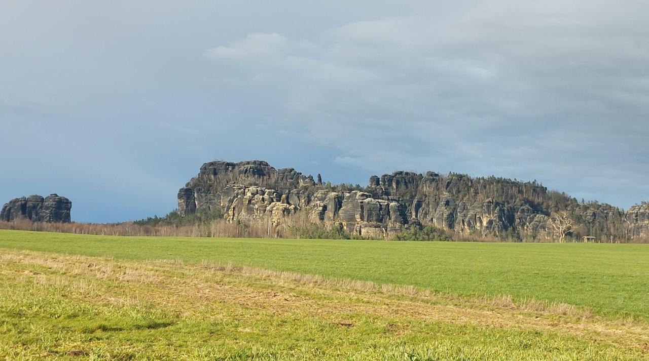 Apartment Am Hochwald Reinhardtsdorf-Schona Zewnętrze zdjęcie